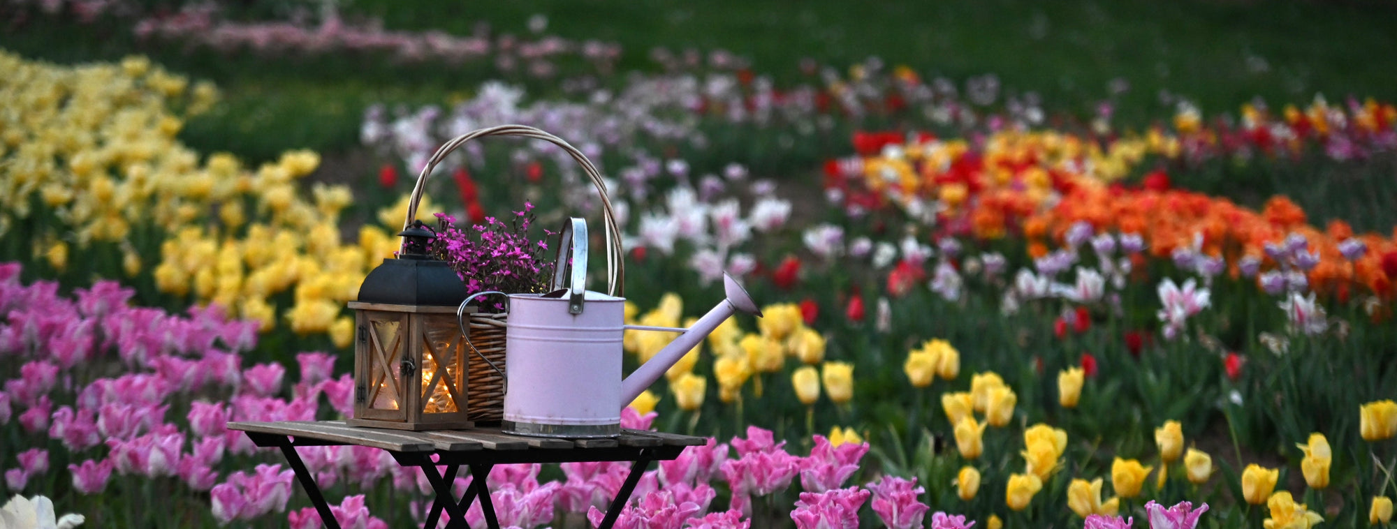 DSC_0815.JPG__PID:c097f469-b254-45db-85f9-bf756f5c498c