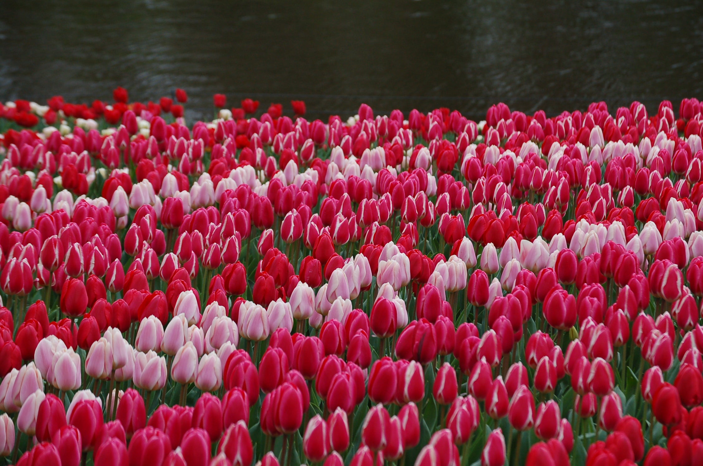 DSC_1963.JPG__PID:788e0047-eefe-4017-8e07-d9f629164955