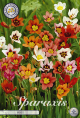 Sparaxis Mixed