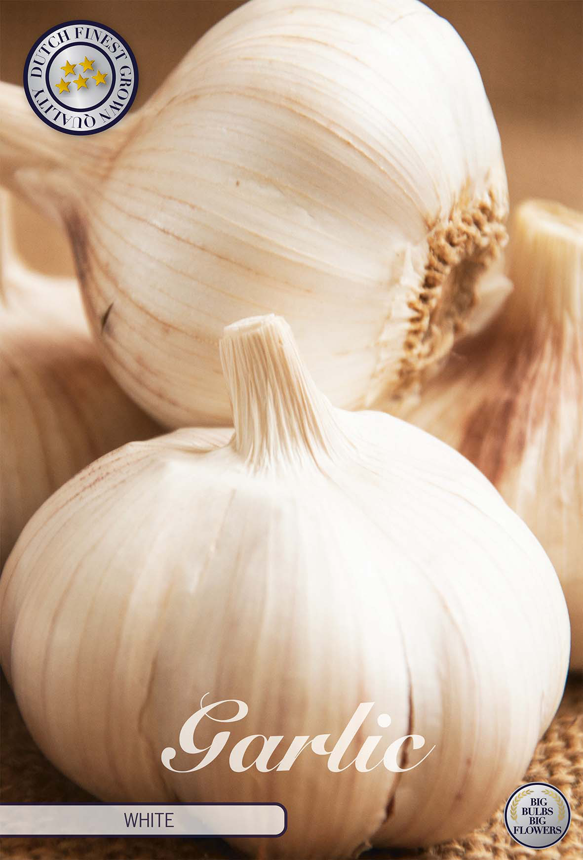 Garlic White