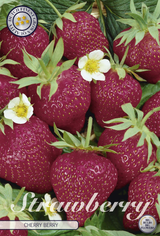 Strawberry Cherry Berry