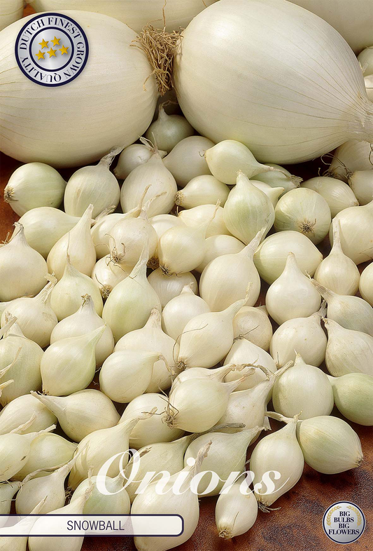 Onion Snowball